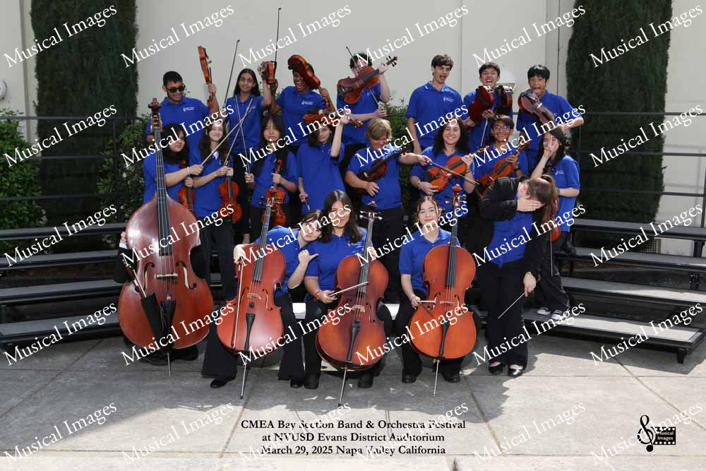 Musical Images